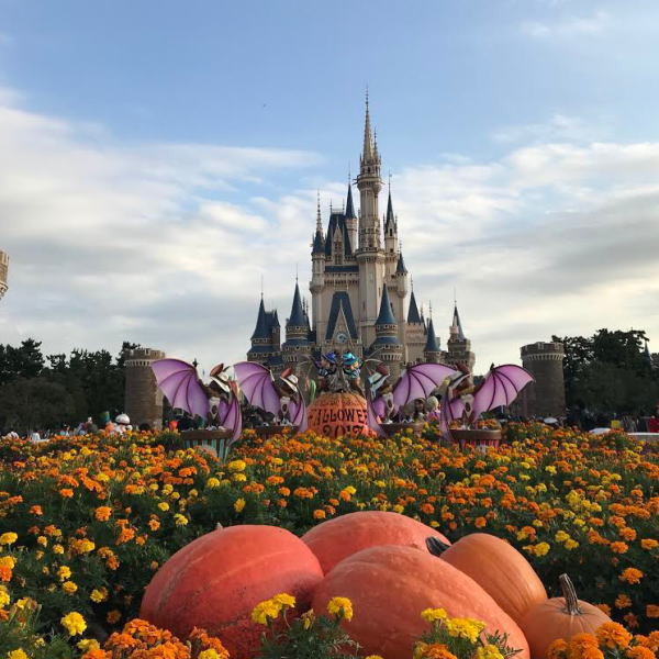 東京ディズニーランド